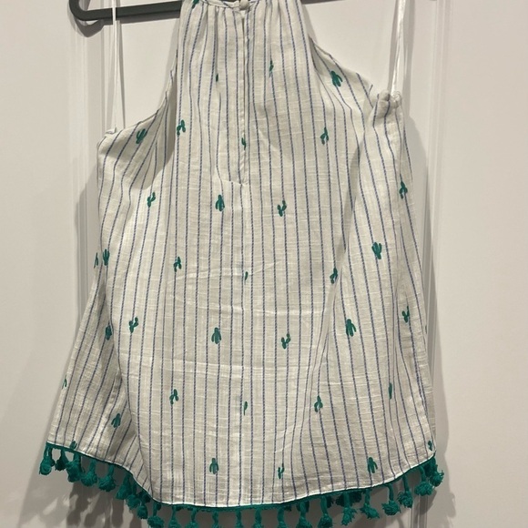 Francesca's Blue Rain Cactus Tassel Stripe Tank Top - Picture 6 of 9
